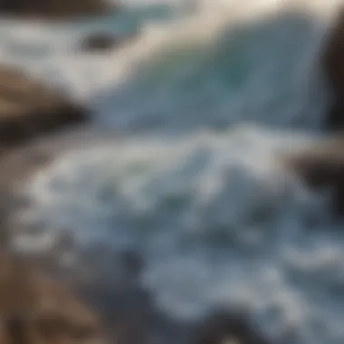 Close-up of ocean foam on rocks