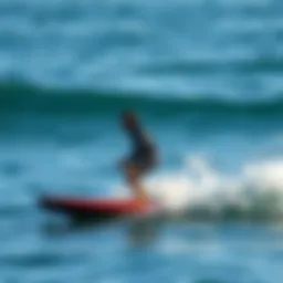 Exploring the Concept of Self-Powered Hydrofoils Introduction