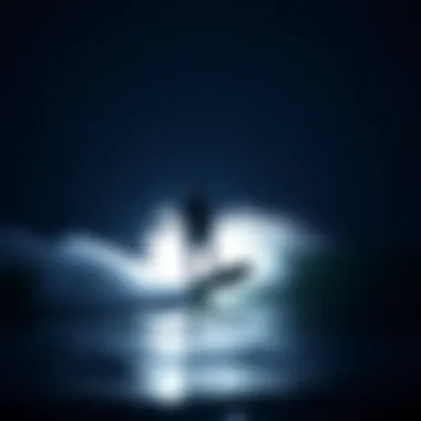 Notable Exploring the Concept of Self-Powered Hydrofoils Notable Exploring the Concept of Self-Powered Hydrofoils