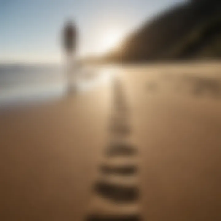 Surfboard tracks on the sandy beach, illustrating the passage of time through surfboarding activities