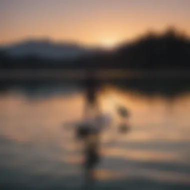 Serene scene of paddleboarders enjoying a calm lake at sunset