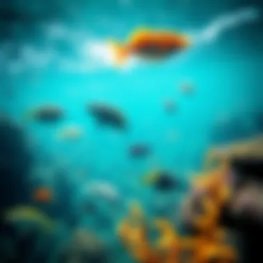 Vibrant ocean water showcasing diverse marine life