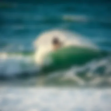 Surfer riding a wave, showcasing the impact of swell on surfing