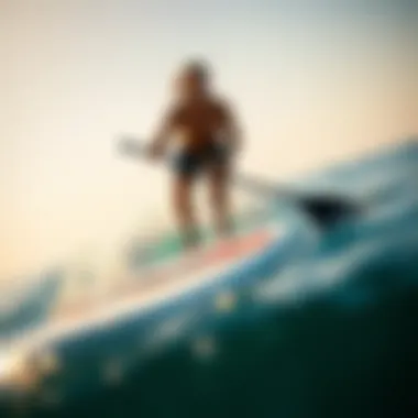Exploring the Dynamics of the Nine-Foot Inflatable Paddle Board Summary Exploring the Dynamics of the Nine-Foot Inflatable Paddle Board Summary