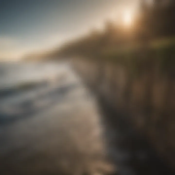 Timber seawall built along a shoreline