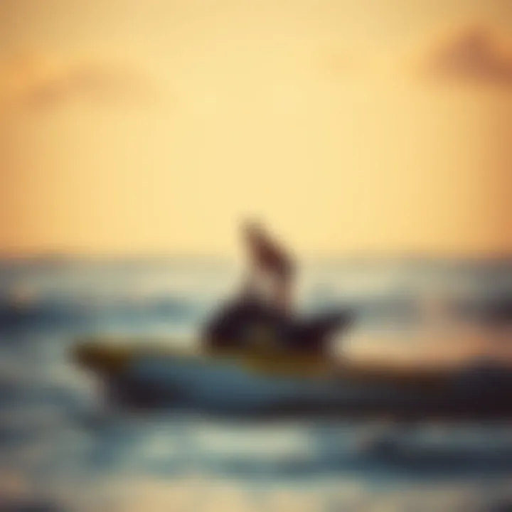 Notable Exploring the Motorised Water Board: Revolutionizing Aquatic Sports