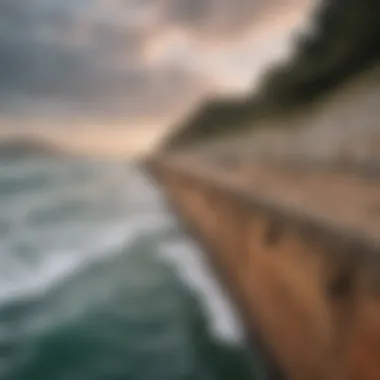 A diagram illustrating the environmental impacts of different seawall types