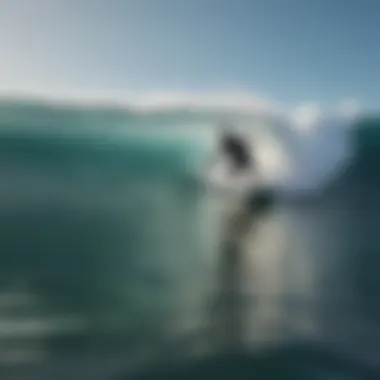 A close-up of a surfboard gliding effortlessly on a curling wave