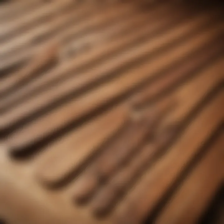 A collection of wooden finger boards displayed together, highlighting different shapes and sizes.