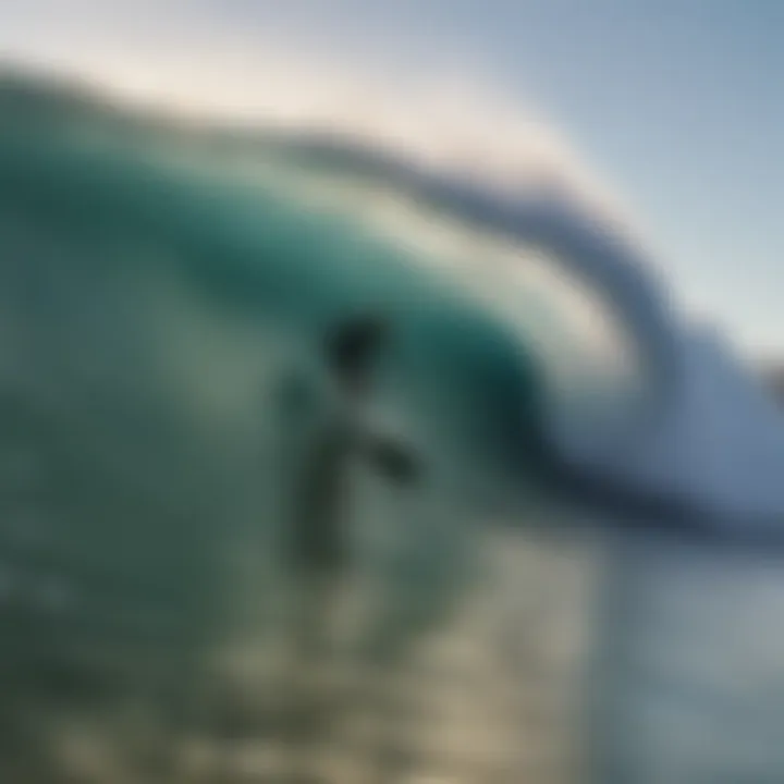 Surfer carving through a wave at Jeffreys Bay Beach