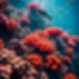 Colorful coral reef teeming with marine life