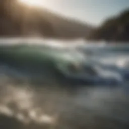 Elegant wakesurf board with intricate design