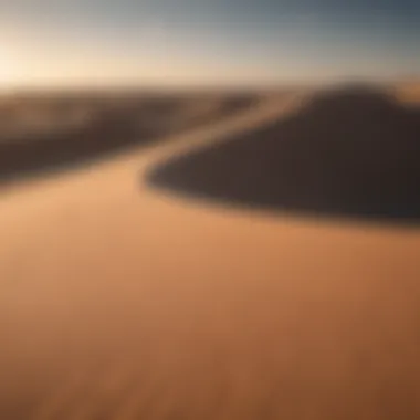 Ecosystem Surrounding the Formica Star Dune