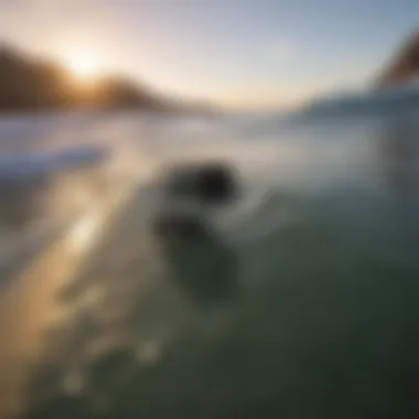 Various GoPro mounts displayed with a surfboard in the background