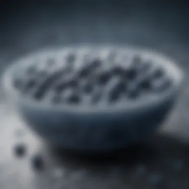 Frozen blueberries in a frost-covered bowl