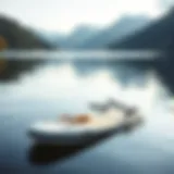 Inflatable Paddle Board in Nature An inflatable paddle board on a serene lake