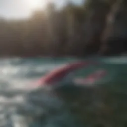Innovative Blade Design for T2 Swim Fins