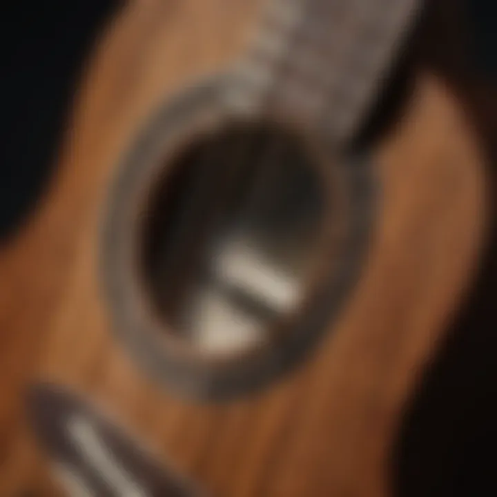 Intricate Detail of Ukulele String Composition