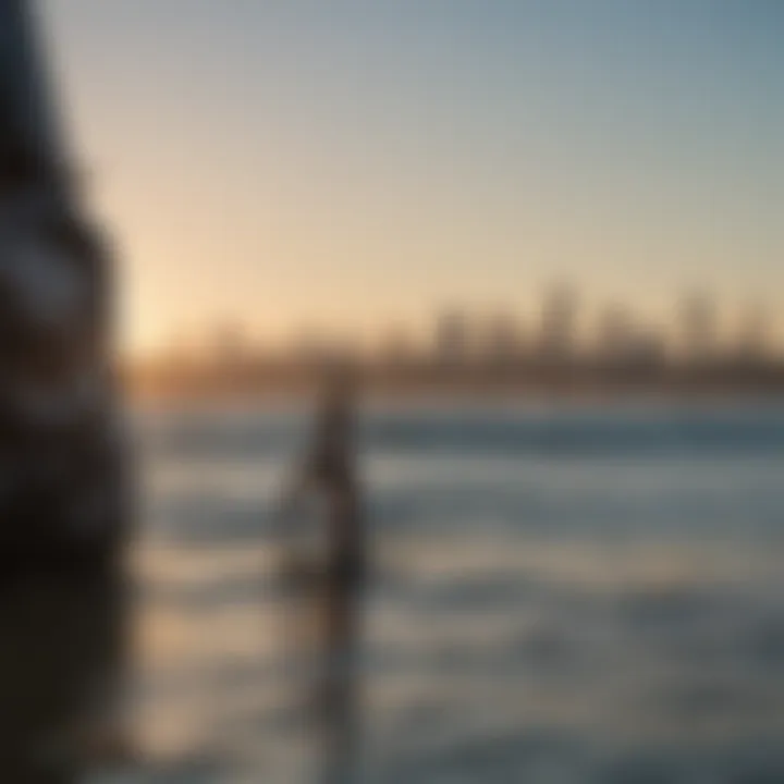 Close-up of kite surfing equipment against Portland skyline