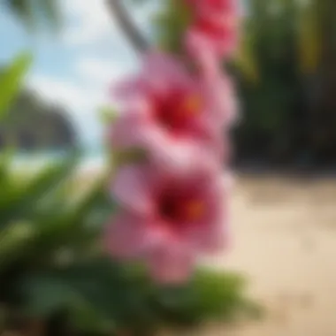 A beautiful lei flower necklace displayed against a natural Hawaiian backdrop