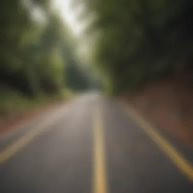 A longboarder gracefully navigating a downhill path