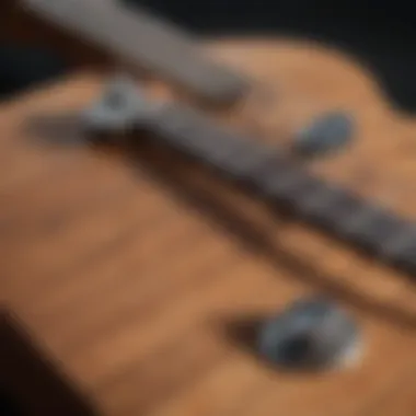 Fretboard Finesse