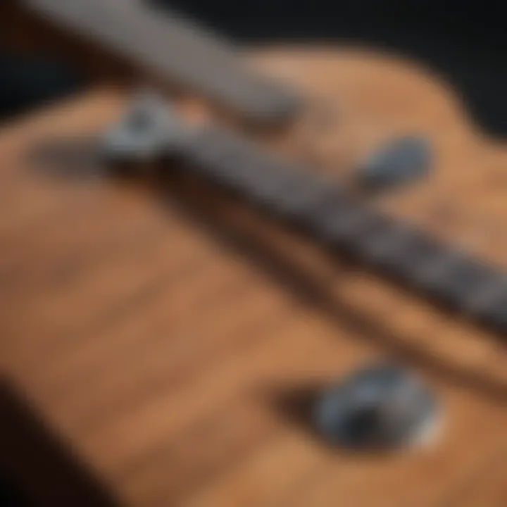 Fretboard Finesse