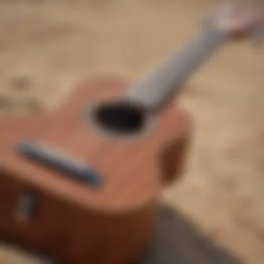 Ukulele Elegance