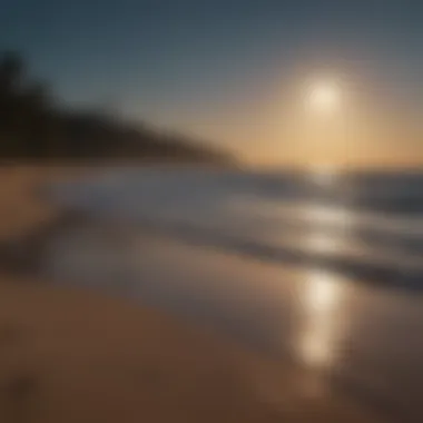 A serene beach scene at night with the moon illuminating the water, highlighting the influence of lunar phases on tides.