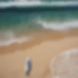 Aerial view of pristine surf beach