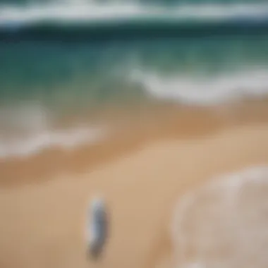 Aerial view of pristine surf beach