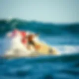 Navigating the Landscape of Board Manufacturers in Surfing Introduction