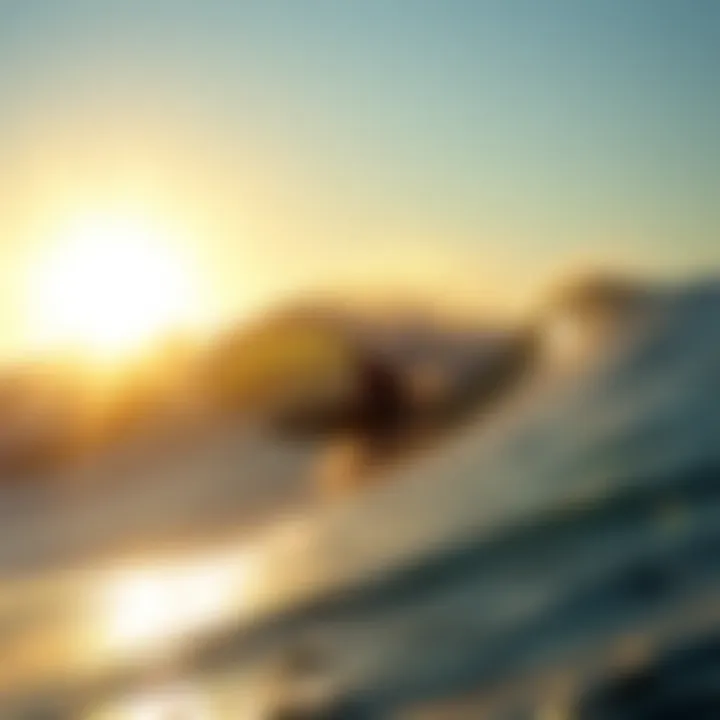 Navigating the Landscape of Board Manufacturers in Surfing Summary