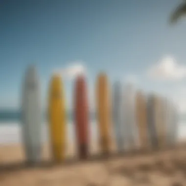 Various surfboard types lined up on the beach