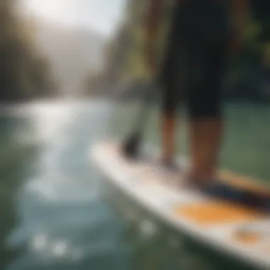 Paddle board accessories displayed in an organized manner