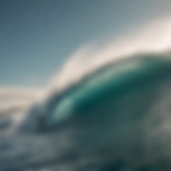 Riding the Crest of a Wave with Wave Surfing Boat