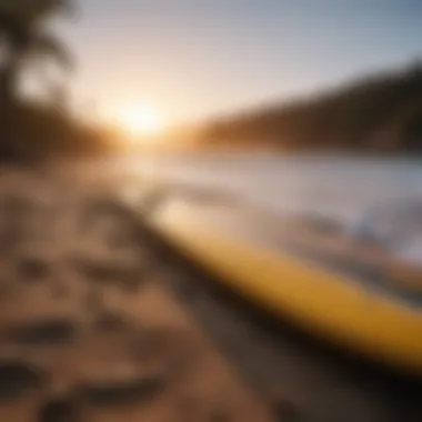 Surfboards lined up on the shore in Rincon