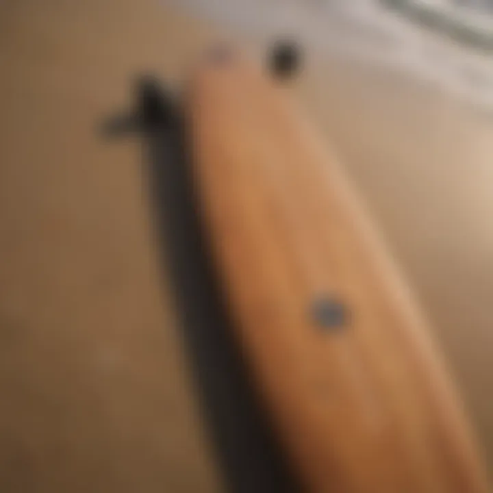 Sleek and Stylish Longboard Shape for Surfboarding Enthusiasts