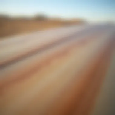 Close-up of soft top longboard surfboard texture