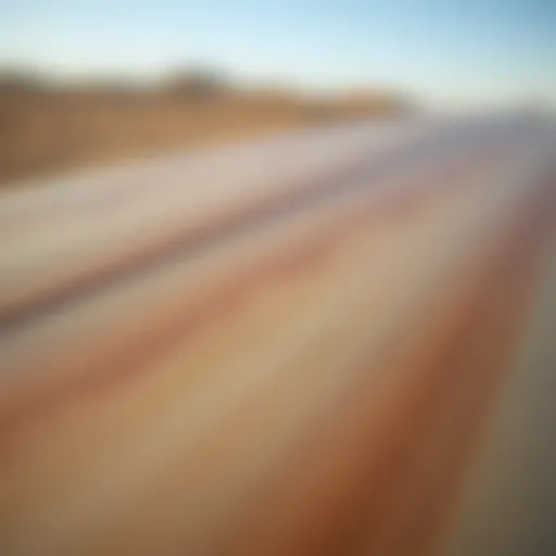 Textural Detail of Soft Top Longboarding Close-up of soft top longboard surfboard texture