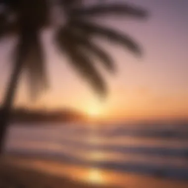 An artistic depiction of a palm tree swaying in the breeze against a sunset sky