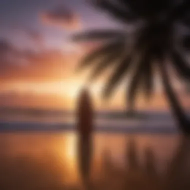 Surfboard and palm tree silhouette against a vibrant sunset sky