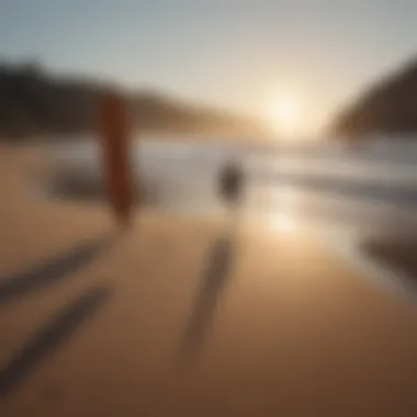 Surfer walking with surfboard and carrier on a sandy beach