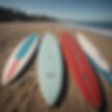 Surfboard lineup at Doheny State Beach in Dana Point