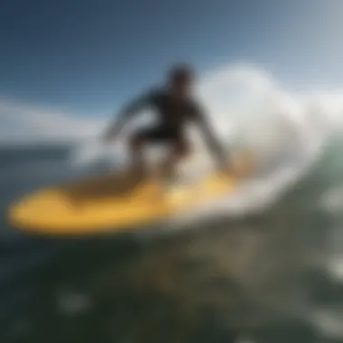 Surfboard types guide illustrating versatility and performance features