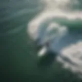 Aerial view of surfer riding a wave with precision and skill