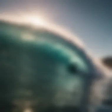 Surfer riding a majestic wave at sunset