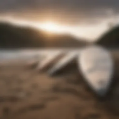 Surfboards lined up on the beach in Playa Venao