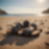 A pair of Birkenstock sandals on a sandy beach near surfboards