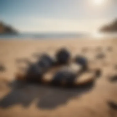 A pair of Birkenstock sandals on a sandy beach near surfboards